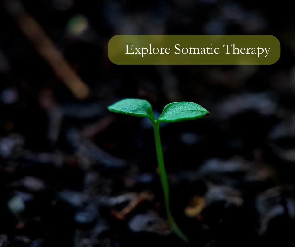 Explore somatic therapy